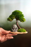 A Small Tree in the East - Classic - Journeyman (Preserved Plants)