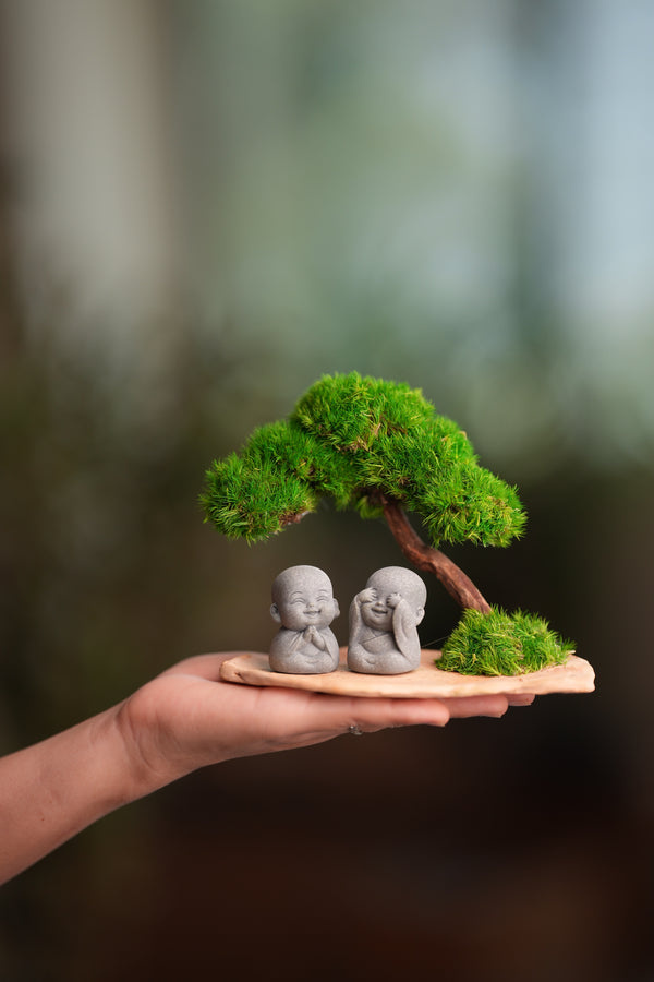 A Small Tree in the East - Classic - Duo of No Evil (Preserved Plants)