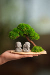 A Small Tree in the East - Classic - Duo of No Evil (Preserved Plants)