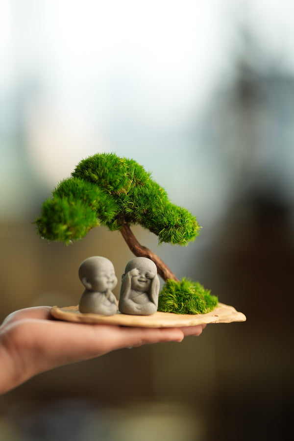 A Small Tree in the East - Classic - Duo of No Evil (Preserved Plants)