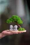 A Small Tree in the East - Classic - Duo of No Evil (Preserved Plants)