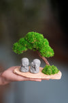 A Small Tree in the East - Classic - Duo of No Evil (Preserved Plants)