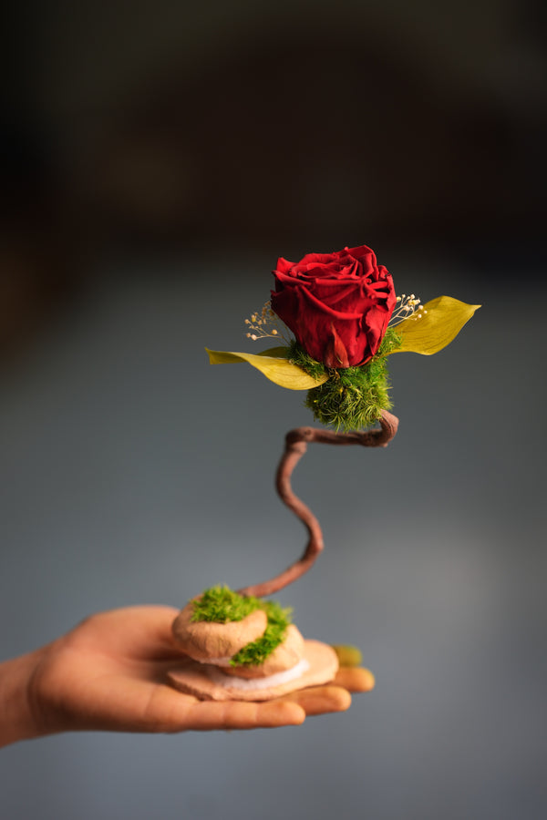 Children of the Forest - Jupiter (Preserved Plants)