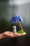 A Small Tree in the East - Blue Dream - Journeyman (Preserved Plants)