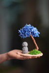 A Small Tree in the East - Blue Dream - Journeyman (Preserved Plants)