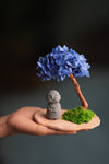 A Small Tree in the East - Blue Dream - Journeyman (Preserved Plants)