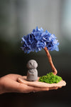 A Small Tree in the East - Blue Dream - Journeyman (Preserved Plants)