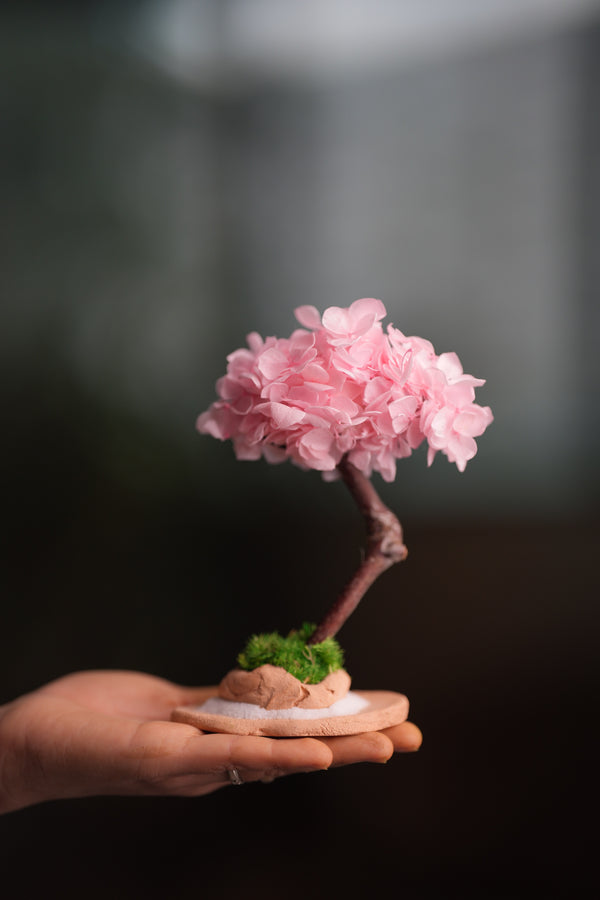 A Small Tree in the East - Sakura (Preserved Plants)