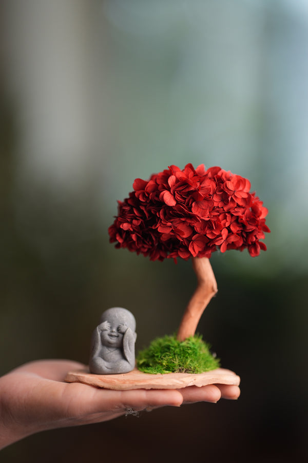 A Small Tree in the East - Fireheart - See No Evil (Preserved Plants)