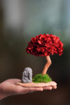 A Small Tree in the East - Fireheart - See No Evil (Preserved Plants)