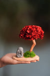 A Small Tree in the East - Fireheart - See No Evil (Preserved Plants)
