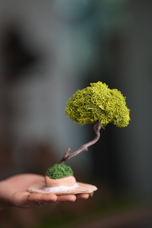 A Small Tree in the East - Classics - Reindeer (Preserved Plants)