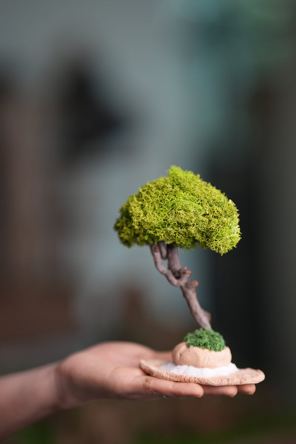A Small Tree in the East - Classics - Reindeer (Preserved Plants)