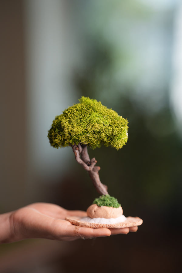 A Small Tree in the East - Classics - Reindeer (Preserved Plants)