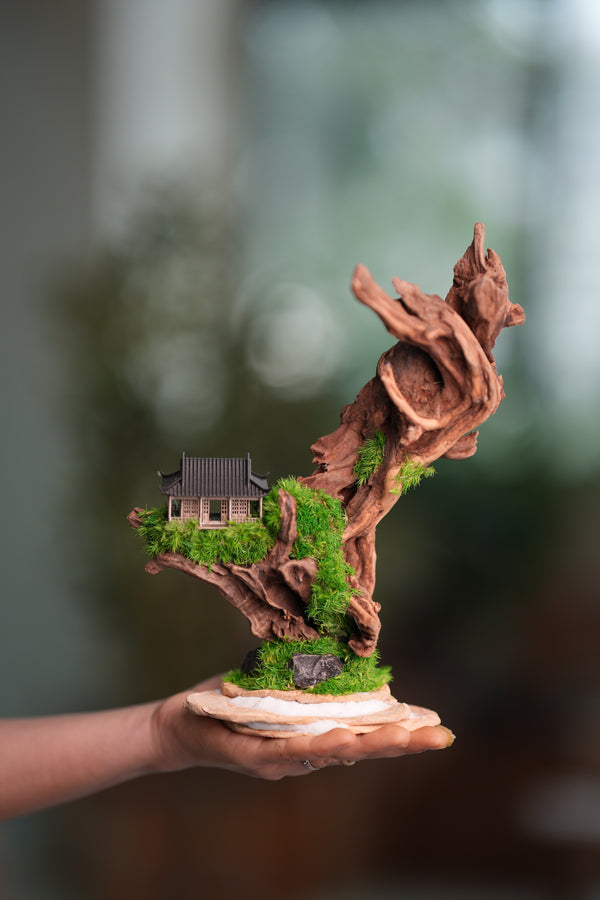 Blackwood Cliff - Smaller (Preserved Plants)