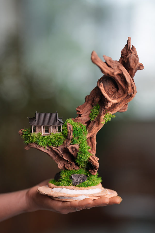Blackwood Cliff - Smaller (Preserved Plants)