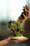 Blackwood Cliff - Smaller (Preserved Plants)