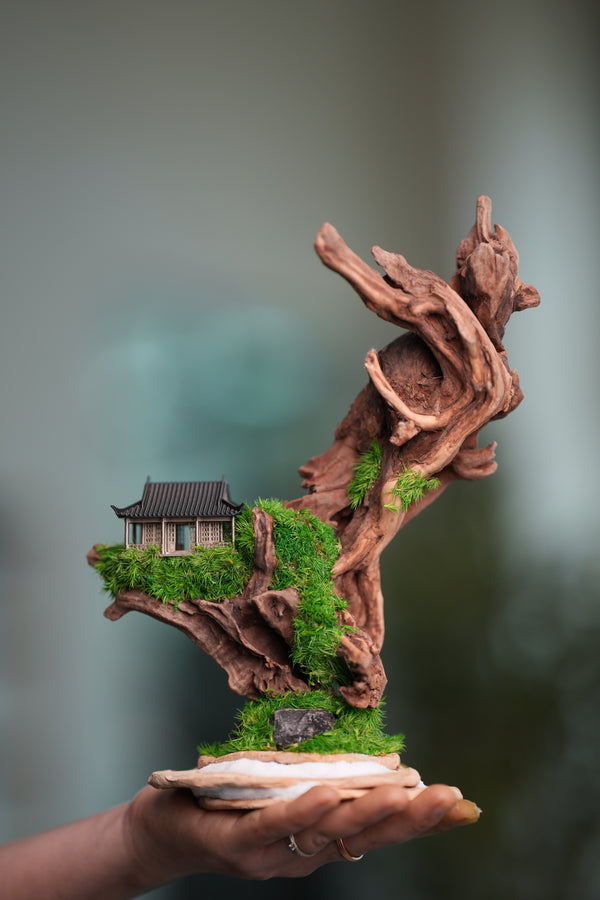 Blackwood Cliff - Smaller (Preserved Plants)