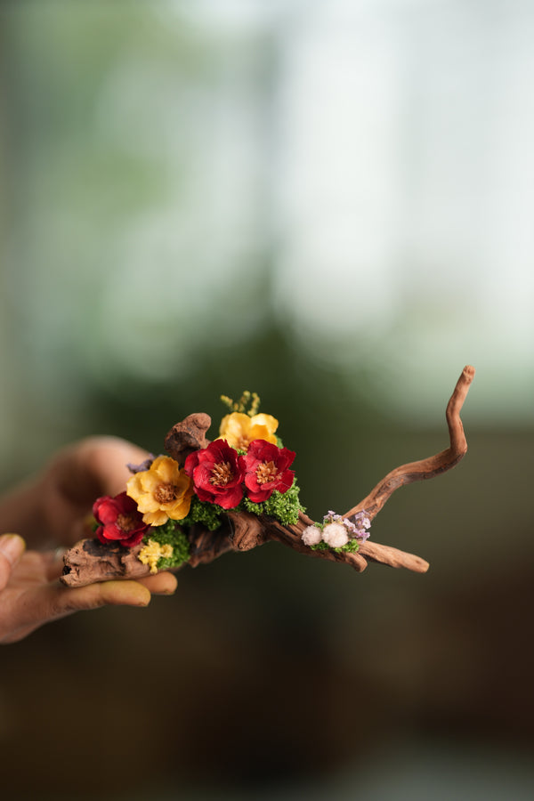 Children of the Forest - Driftwood (Preserved Plants)