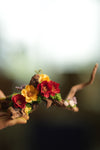 Children of the Forest - Driftwood (Preserved Plants)