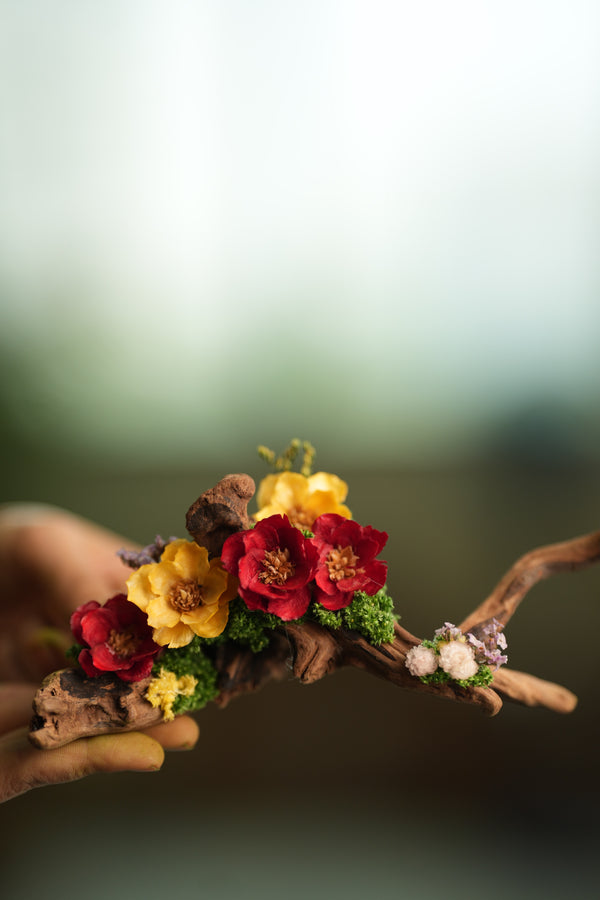 Children of the Forest - Driftwood (Preserved Plants)