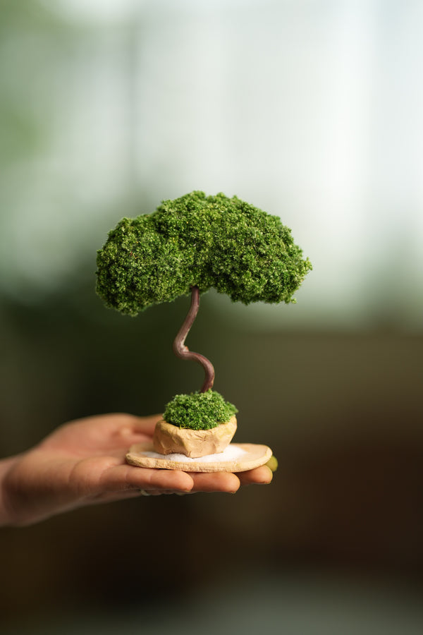 A Small Tree in the East - Classic (Preserved Plants)