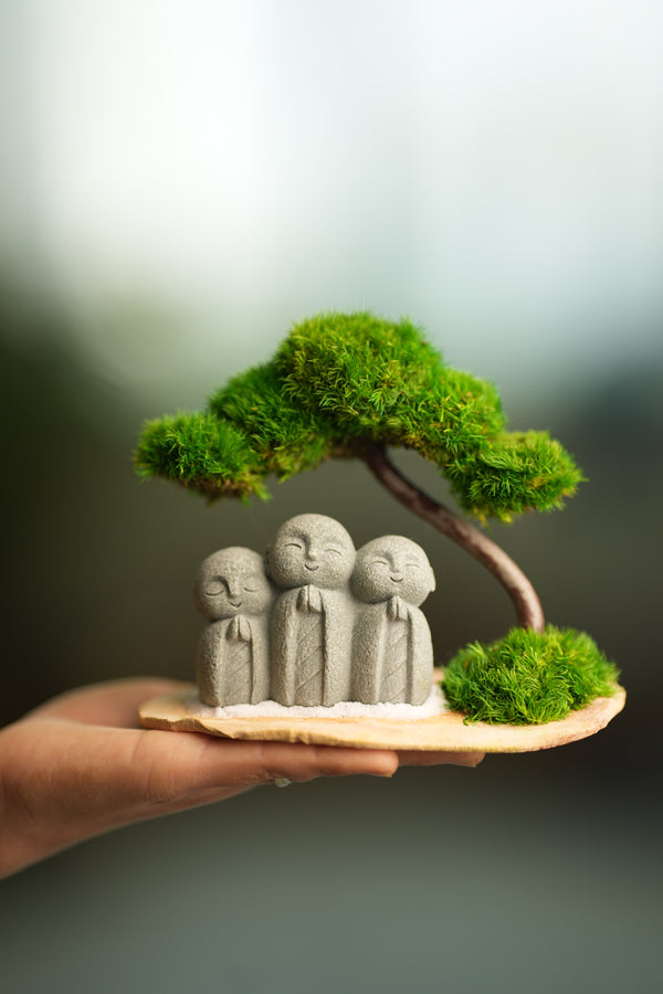 A Small Tree in the East - Classic - Journeyman (Preserved Plants)