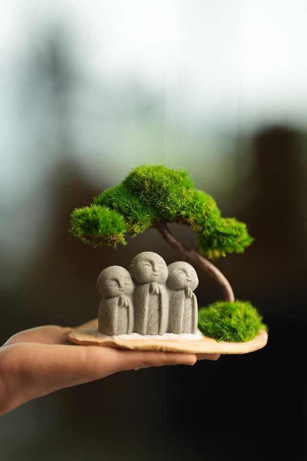 A Small Tree in the East - Classic - Journeyman (Preserved Plants)