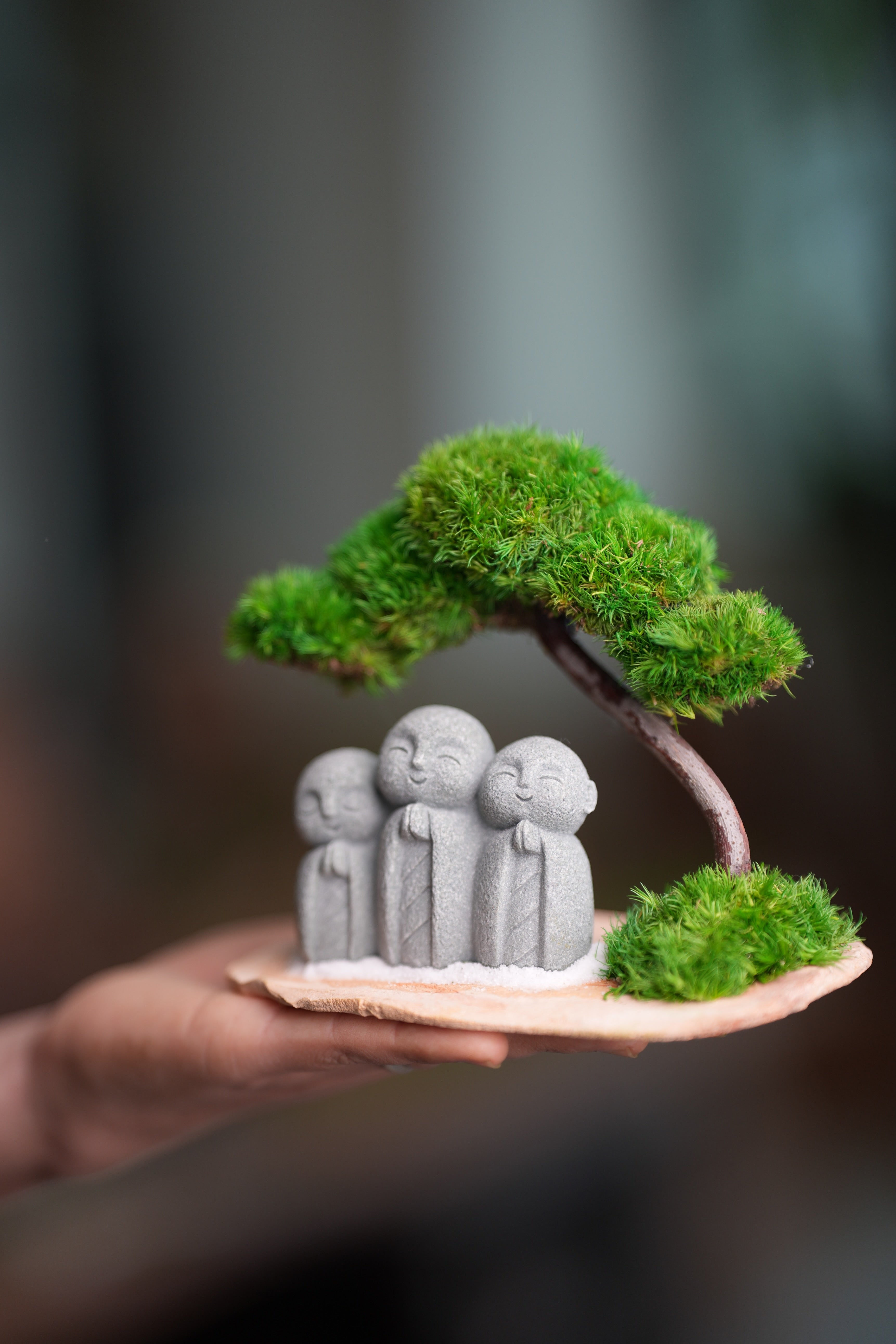 A Small Tree in the East - Classic - Journeyman (Preserved Plants)