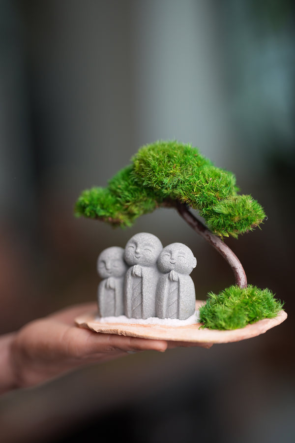 A Small Tree in the East - Classic - Journeyman (Preserved Plants)