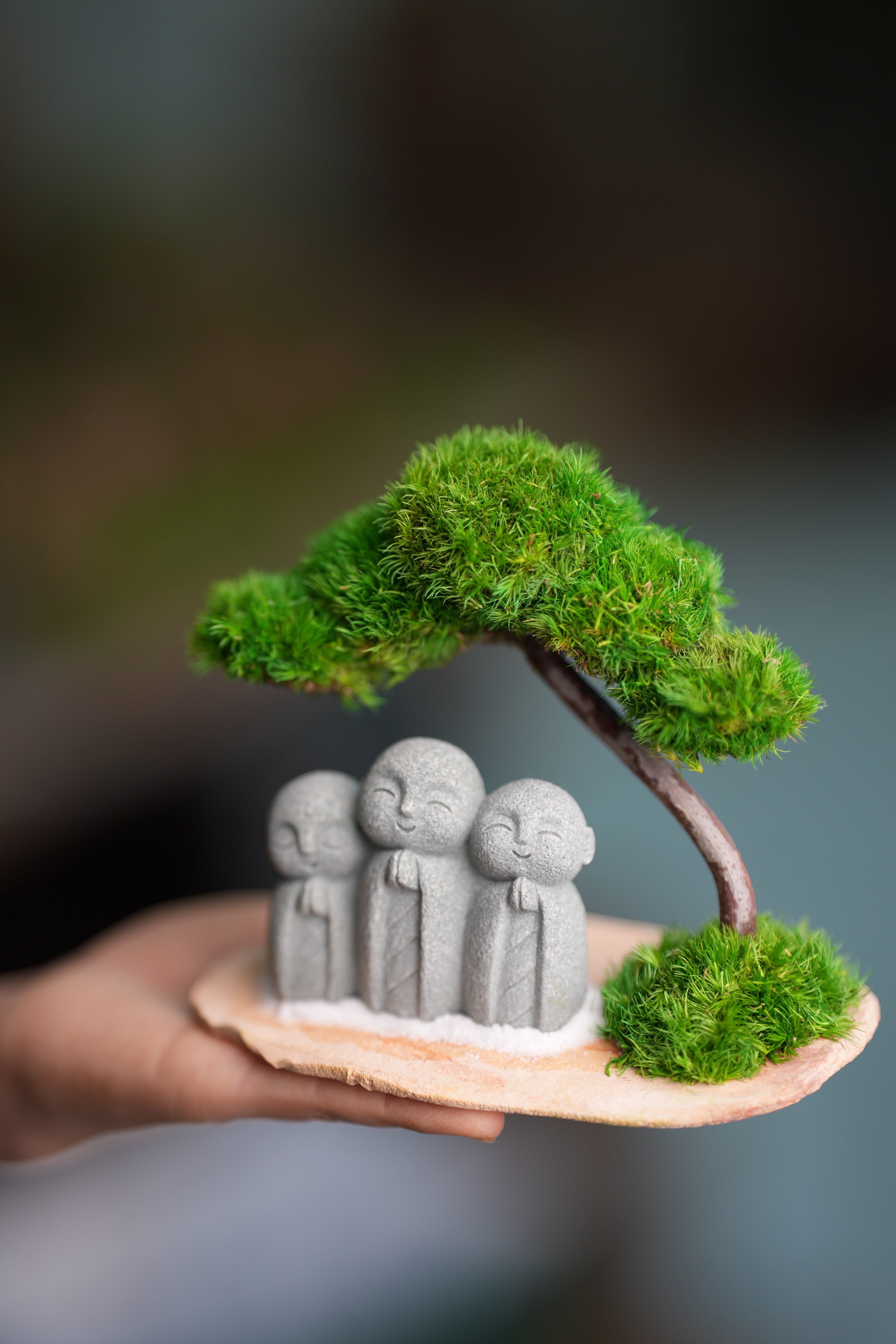 A Small Tree in the East - Classic - Journeyman (Preserved Plants)