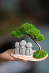 A Small Tree in the East - Classic - Journeyman (Preserved Plants)