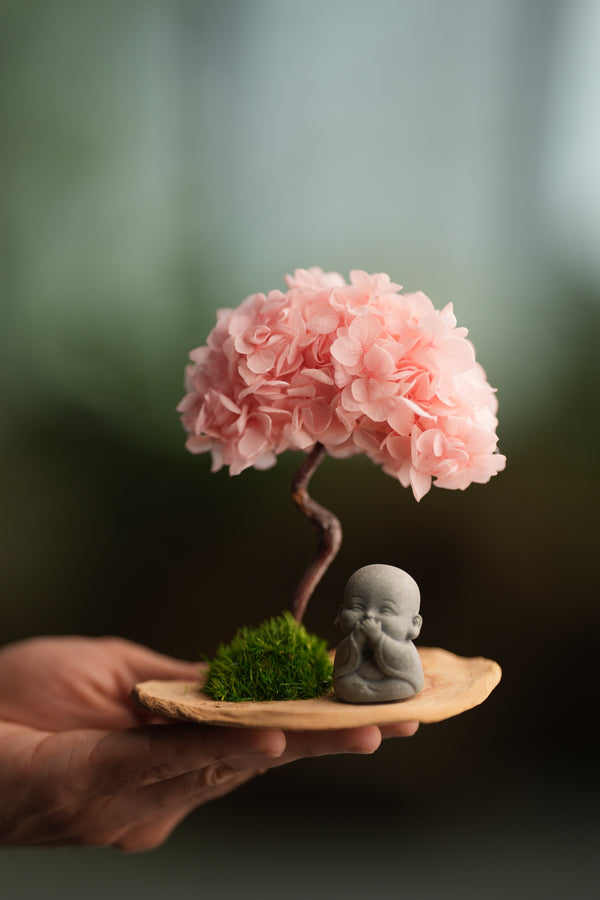 A Small Tree in the East - Sakura - Journeyman (Preserved Plants)