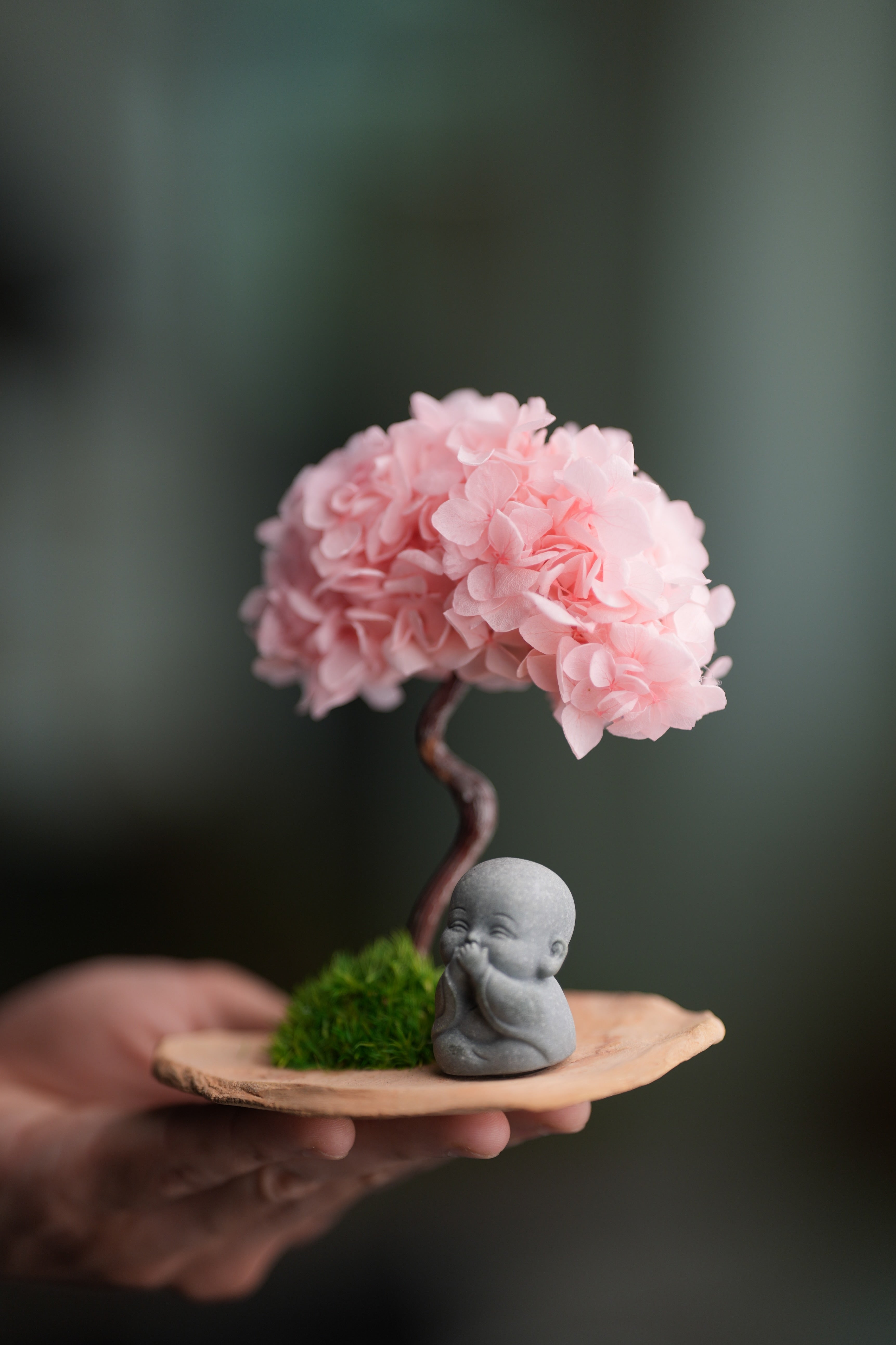 A Small Tree in the East - Sakura - Journeyman (Preserved Plants)