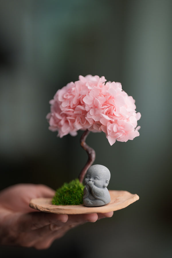 A Small Tree in the East - Sakura - Journeyman (Preserved Plants)