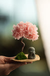 A Small Tree in the East - Sakura - Journeyman (Preserved Plants)