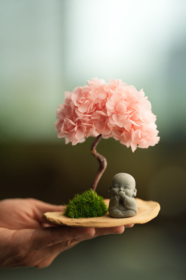 A Small Tree in the East - Sakura - Journeyman (Preserved Plants)