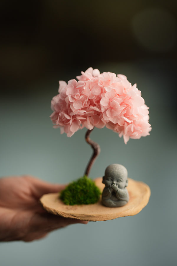 A Small Tree in the East - Sakura - Journeyman (Preserved Plants)