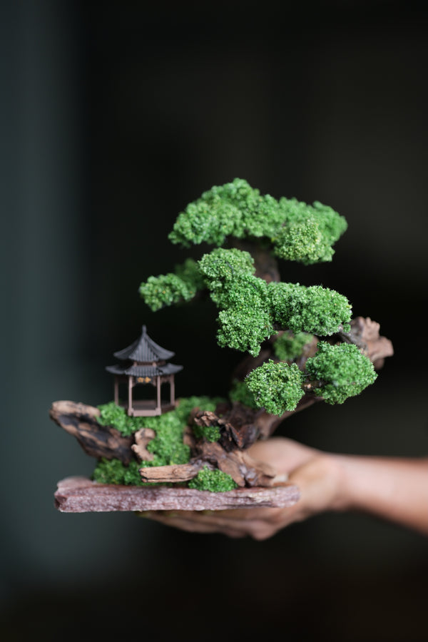 Blackwood Cliff - Windy Greens (Preserved Plants)