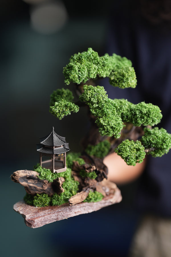 Blackwood Cliff - Windy Greens (Preserved Plants)