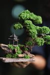 Blackwood Cliff - Windy Greens (Preserved Plants)