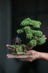 Blackwood Cliff - Windy Greens (Preserved Plants)