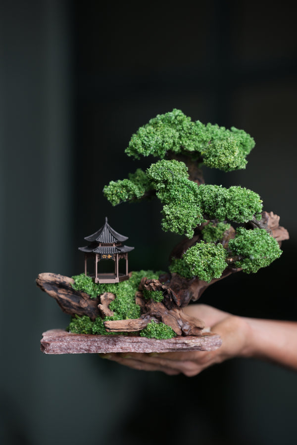 Blackwood Cliff - Windy Greens (Preserved Plants)
