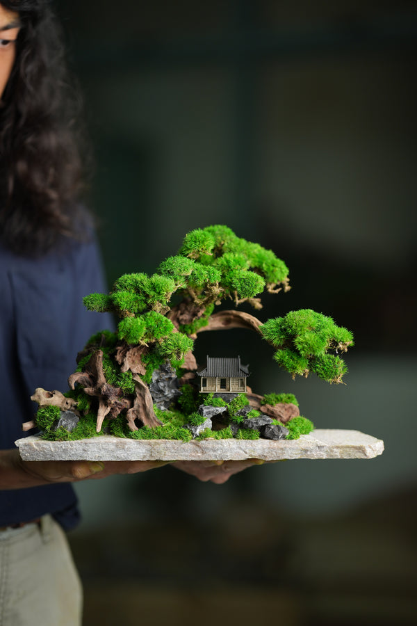 Greenwood - A Path in the East (Preserved Plants)