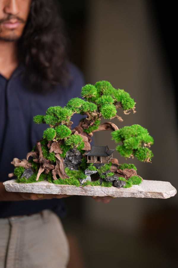 Greenwood - A Path in the East (Preserved Plants)