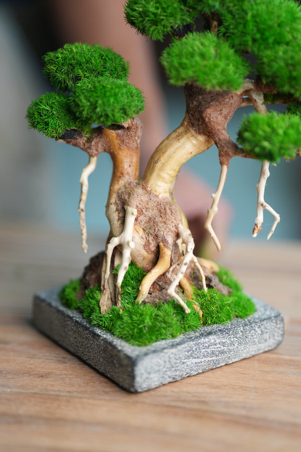 Greenwood (Preserved Plants)