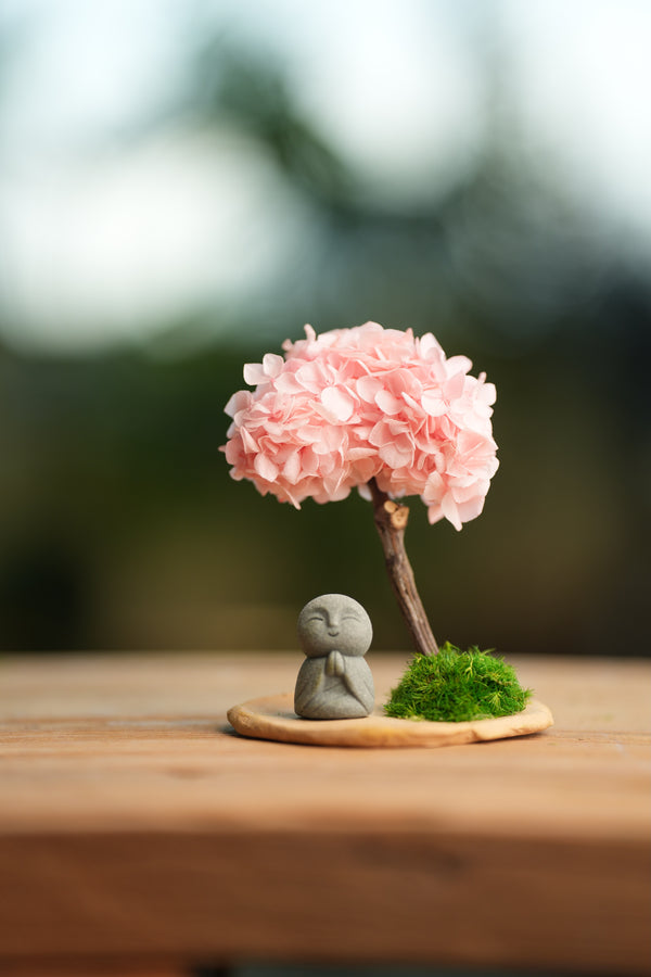 A Small Tree in the East - Sakura - Journeyman (Preserved Plants)