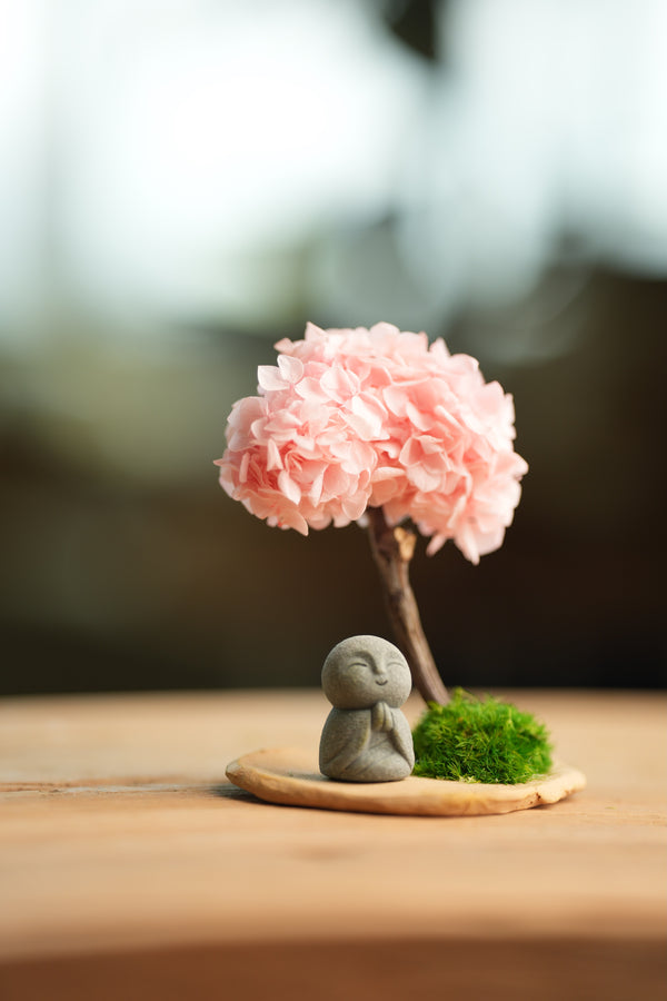 A Small Tree in the East - Sakura - Journeyman (Preserved Plants)