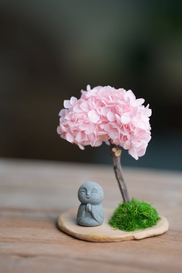 A Small Tree in the East - Sakura - Journeyman (Preserved Plants)