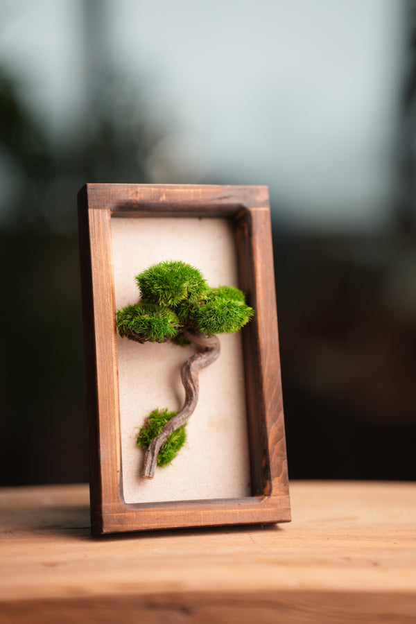 A Small Tree in the East - Wall Hanging edition (Preserved Plants)